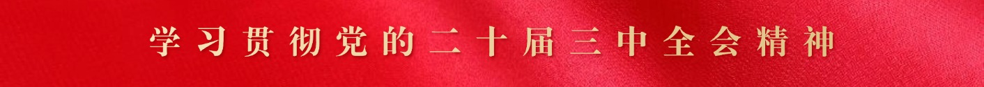 學習貫徹黨的二十屆三中全會精神